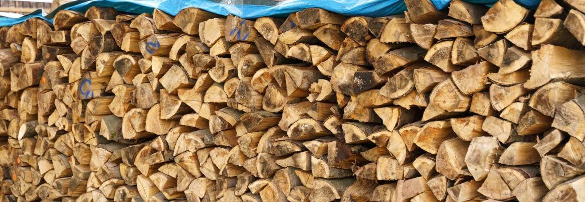 Gestapeltes Brennholz, das mit einer blauen Plane abgedeckt ist.